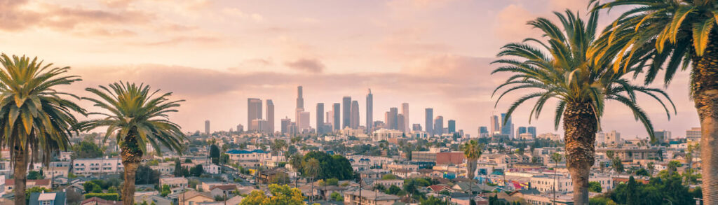 Southern California Moving Guide